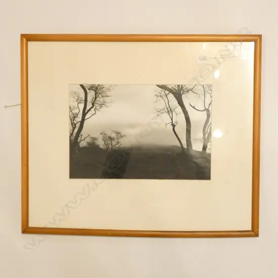 NEIL FINLAY PHOTO 'WAIARE 240 X 360 MM