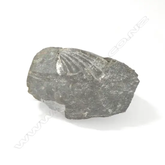 FOSSILISED ROCK L 90MM