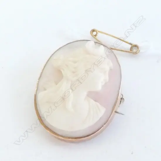 CAMEO BROOCH & SAFETY CHAIN, NOT STAMPED BUT TESTS AS 9ct GOLD