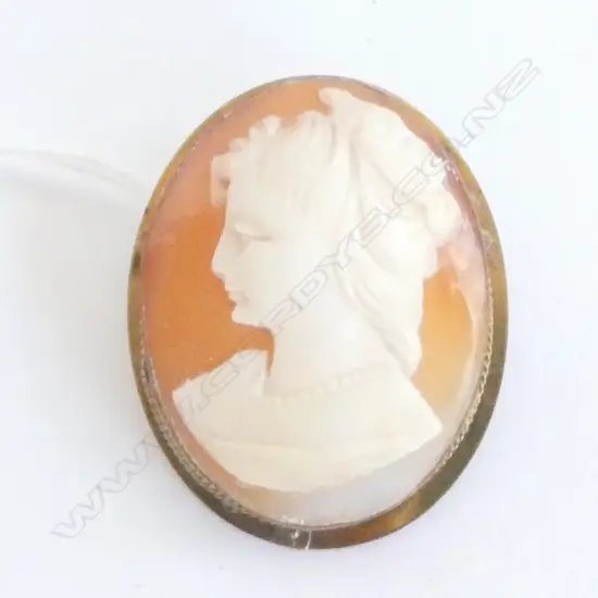 BROOCH, CAMEO SET IN GOLDPLATED SURROUND, LENTGH APPROX 40mm