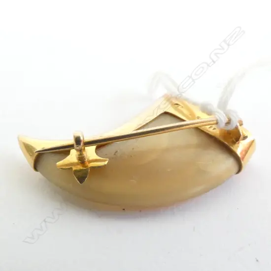 TIGER'S CLAW SET IN 18ct GOLD, c.1910