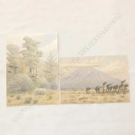 JOHN L MOORE  1897-1965  2 X WC UF   ‘SEDGE AND  BEECH  OHAKUNE 1948 & MT EGMONT 1953. unframed, largest 250 x 355mm