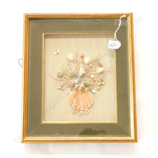 FRAMED SHELL COLLAGE
