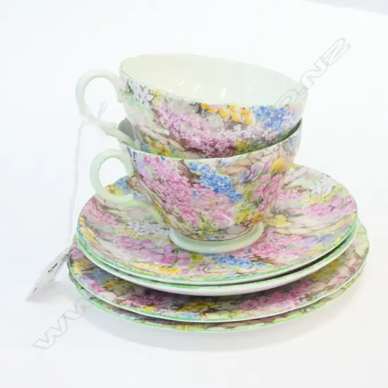 PR SHELLEY ROCK GARDEN TRIOS