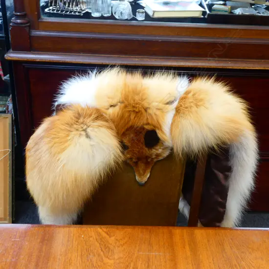 RED FOX FUR CAPE