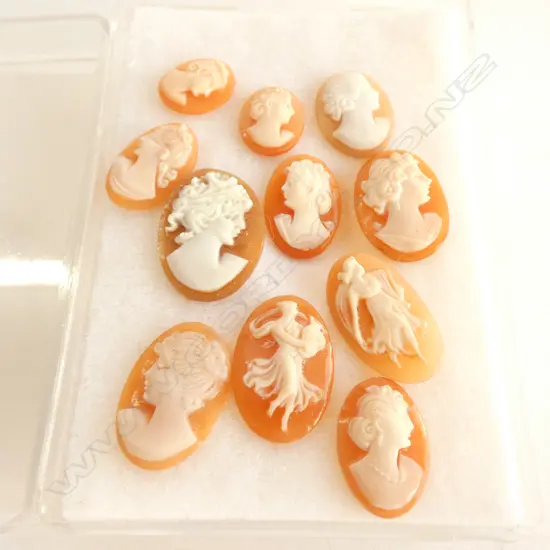 ASST. VINTAGE CAMEOS 