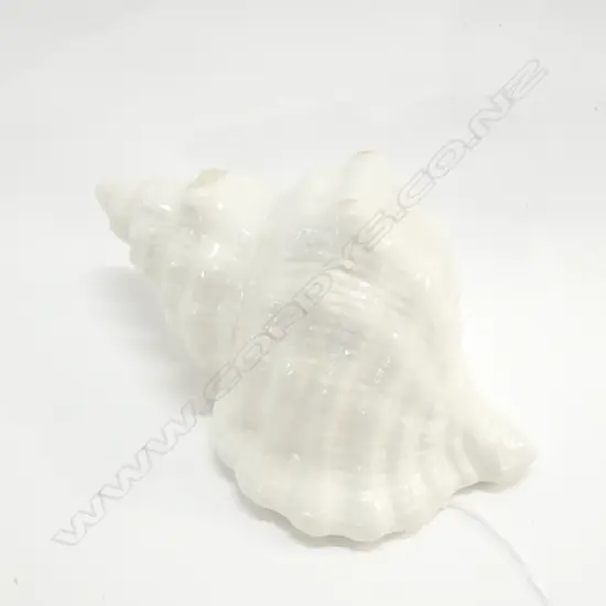 SYLVAC SHELL VASE L190mm