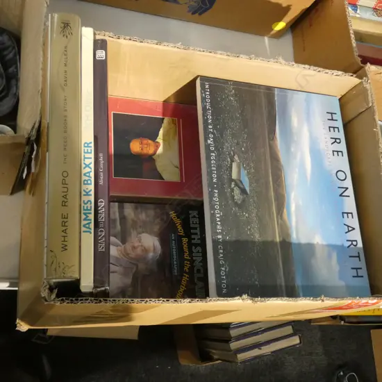 BOX LOT BOOKS; NZ LITERATURE INTEREST 