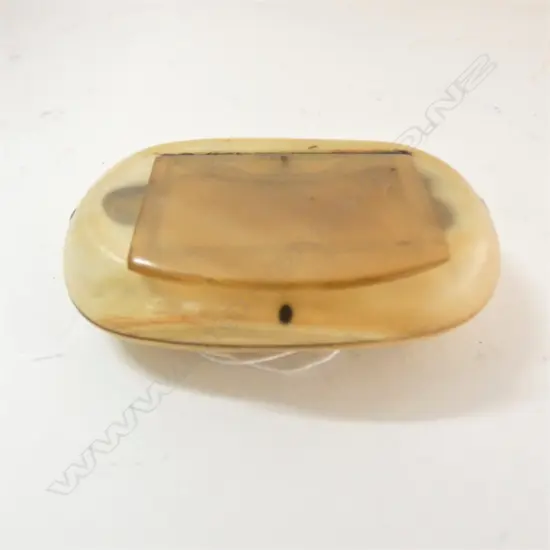 SMALL 19thC OVAL HORN SNUFF BOX