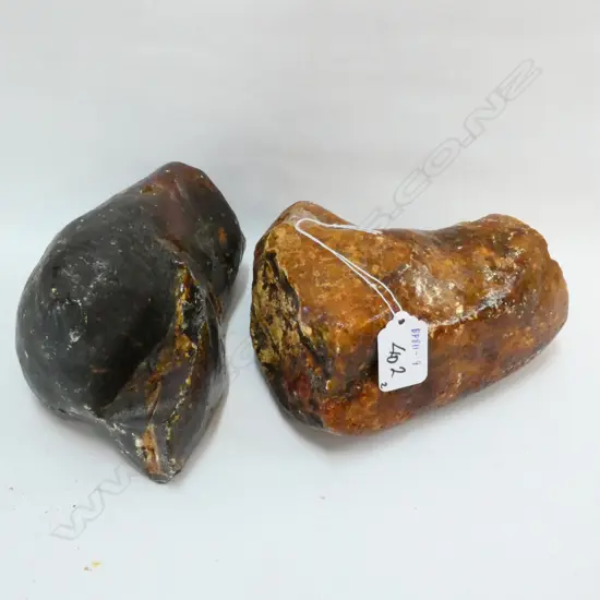 ASST PCES SEMI POLISHED KAURI GUM