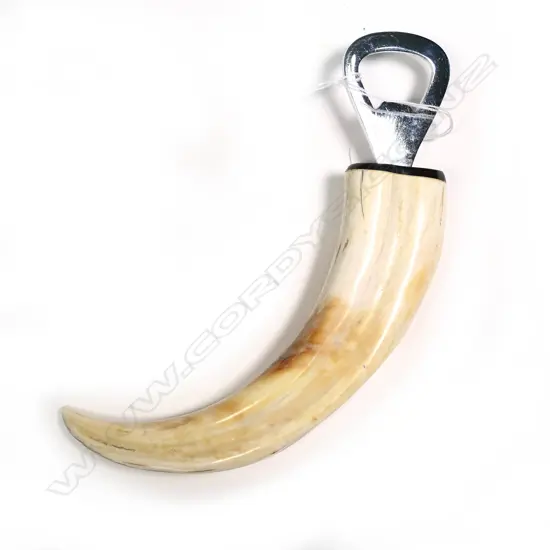 WARTHOG TUSK BOTTLE OPENER TUSK L.150mm