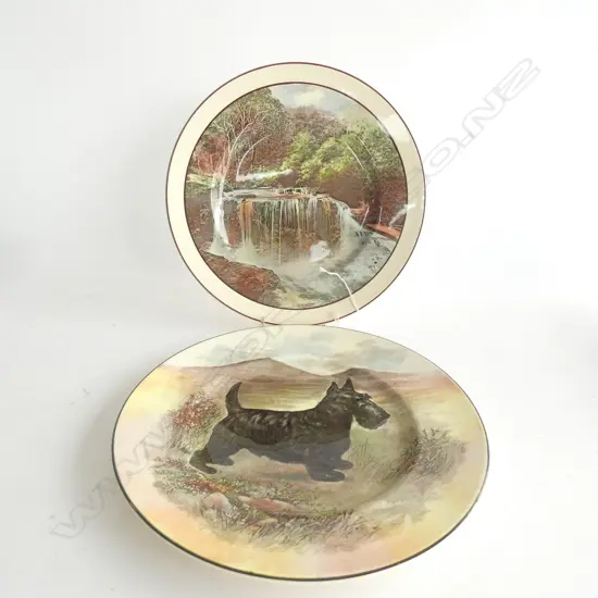 2 ROYAL DOULTON PLATES  D 260MM