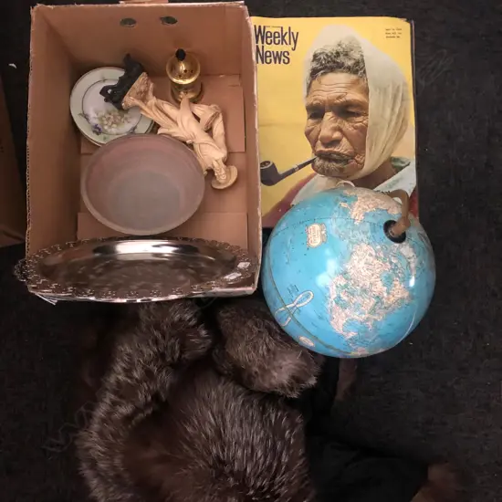 BOX LOT FUR STOLE, GLOBE AF ETC