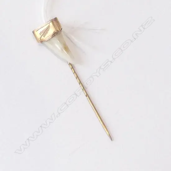 UNMARKED COLONIAL NZ GOLD & SHARK TOOTH TIE PIN
