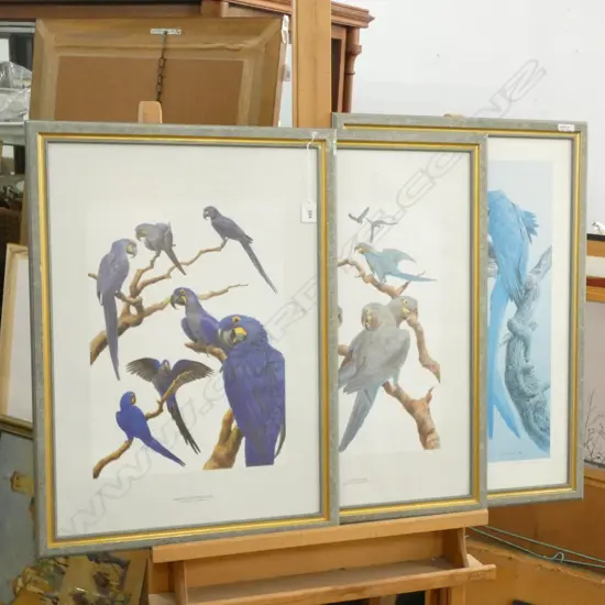 3 FRAMED BIRD PRINTS 410 X 390MM