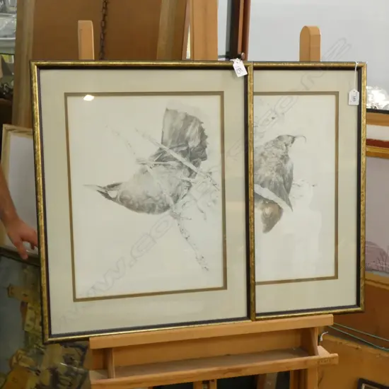 PR RAYMOND HARRIS BIRD PRINTS; TUIS 425 X 330MM