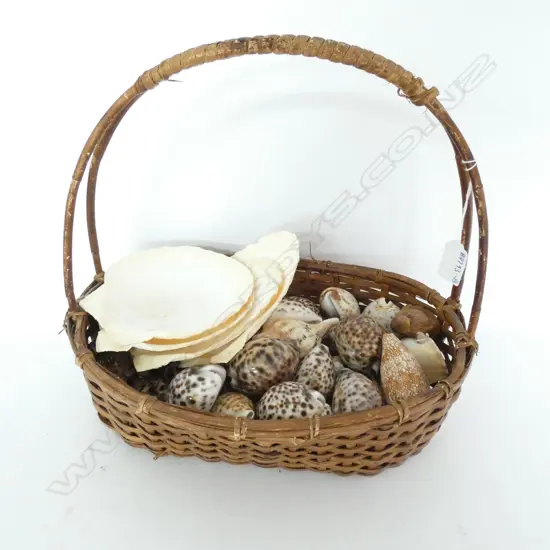 BASKET OF SHELLS 
