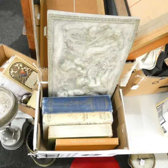 BOX LOT VINTAGE BOOKS + RESIN PLAQUE L. 425MM