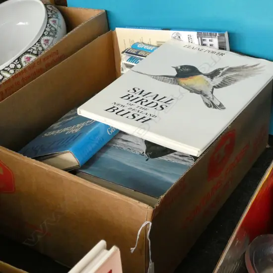 BOX LOT ASST BOOKS; MOUNTAINEERING INTEREST 