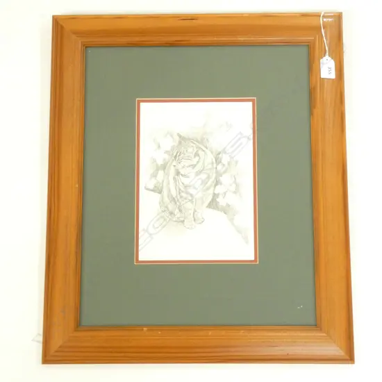 MARJORIE PARKYN CAT PENCIL DRAWING (260 x 180MM) - FRAMED