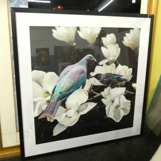 FRAMED KERURU & TUI 795MM SQ