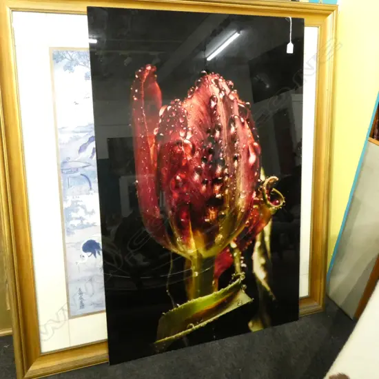 RED TULIP PRINT ON GLASS 1200 X 800MM