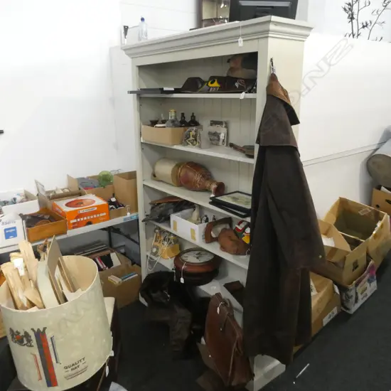 PAINT FINISH BOOKCASE w ADJUSTABLE SHELVES (cornice reglued)