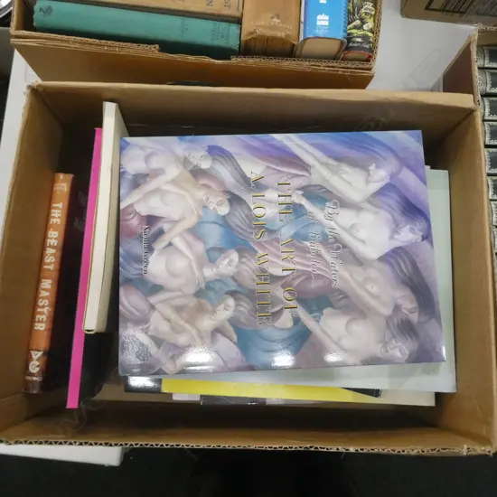 BOX LOT BOOKS; NZ ART ETC