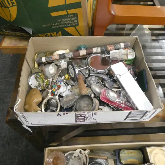 BOX LOT ASST. MINIATURE TURTLES ETC