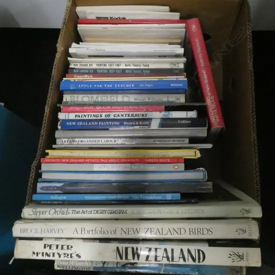 BOX LOT BOOKS NZ ART