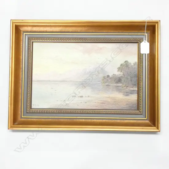 OIL ON BOARD SOUTH ISLAND LAKE SCENE INITIALLED T.R.A 300 X 190 MM