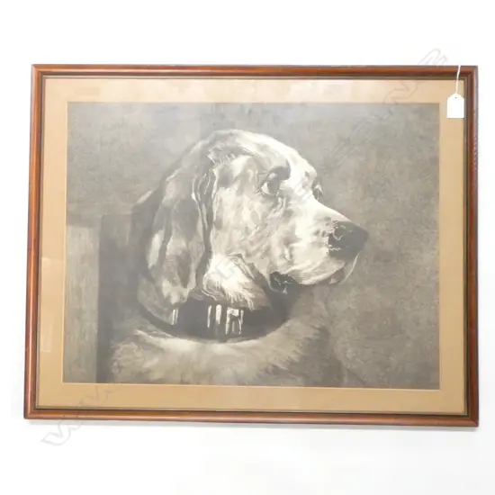 DOG PRINT 425 X 560MM