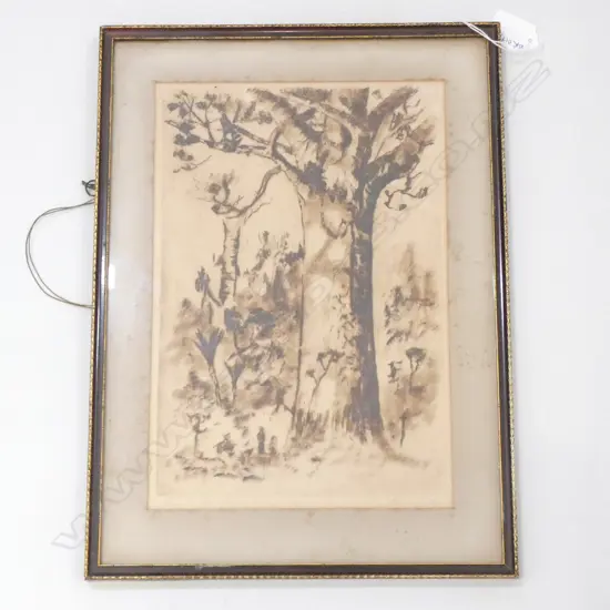 BERNARD ARIS 'KAURI, GREAT BARRIER ISLAND' ETCHING 295 X 195MM