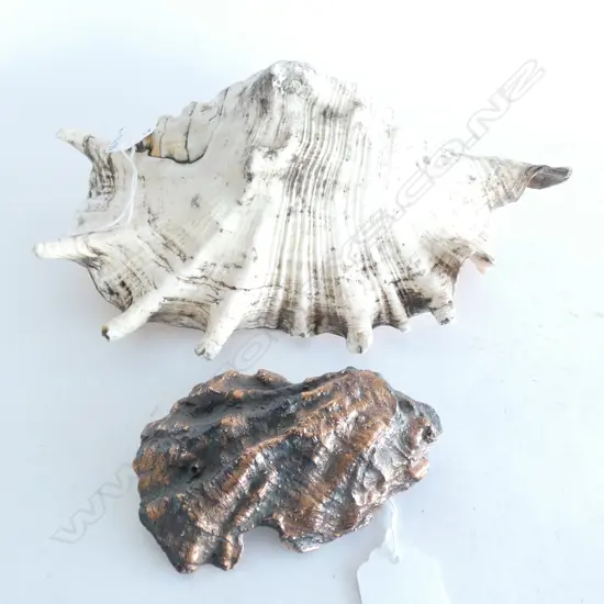 CHINA / GOLD & COPPER SHELL (L.100MM) & CONCH SHELL  L. 230MM