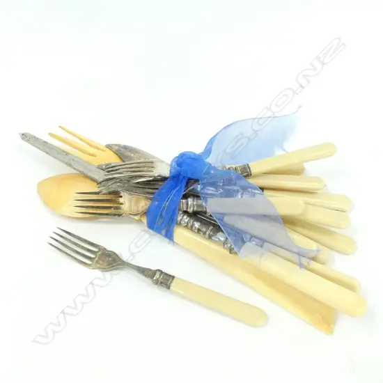 ASST. BONE HANDLED CUTLERY 