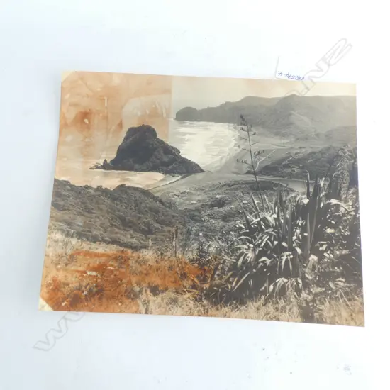 UNA GARLICK PHOTO 'LION ROCK .PIHA..240 X 300mm STAINED