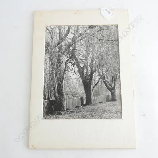 VINTAGE EXHIBITED NZ PHOTOGRAPH UNKNOWN 'MISTY MORNING'