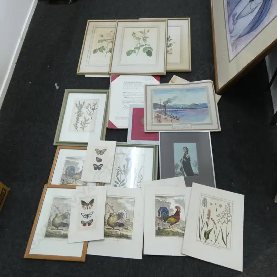 BOX LOT ASST. PRINTS; BOTANICAL, ANIMALS ETC
