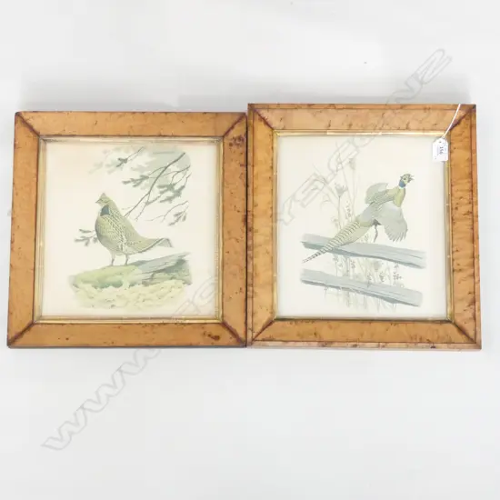 NEAR PR BIRD PRINTS IN BURR WALNUT FRAMES