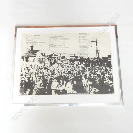 SPRINGBOX TOUR MT EDEN PROTEST POSTER 495 X 705MM