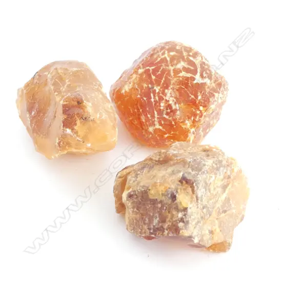 THREE KAURI GUM PIECES