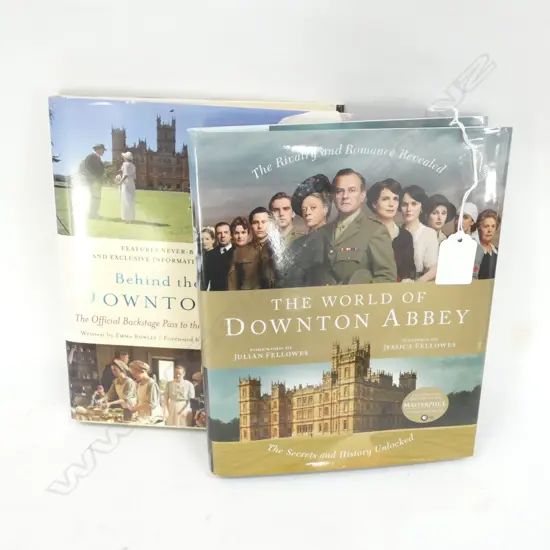 2 BOOKS ON 'DOWNTON ABBEY'