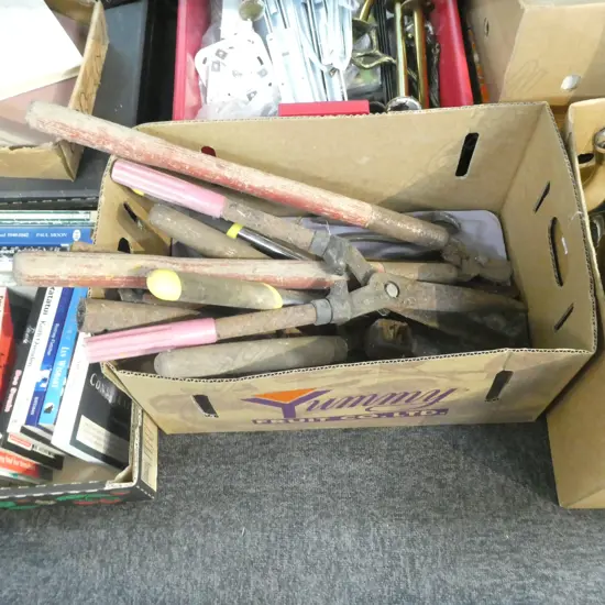 BOX LOT GARDENING TOOLS