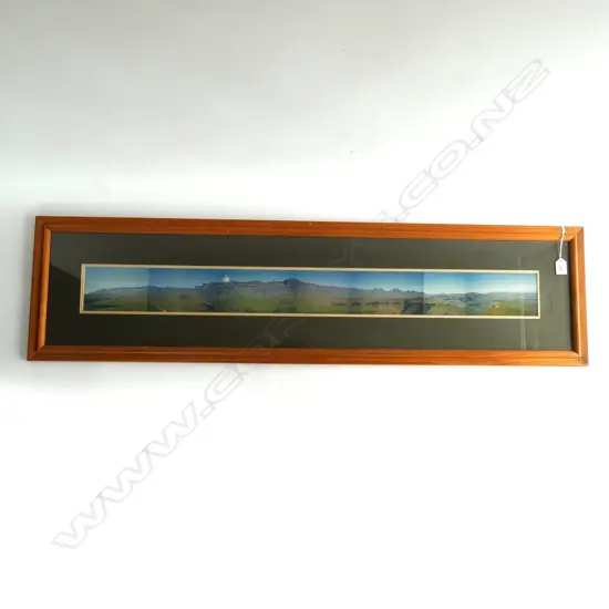 FRAMED PANORAMA 100 X 1010MM HIGH VELDT SOUTH AFRICA