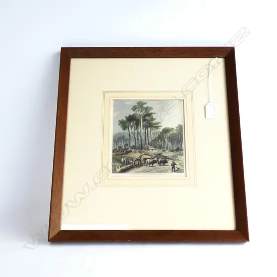 ANTIQUE ENGRAVING "CLEARING PORERUA BUSH"