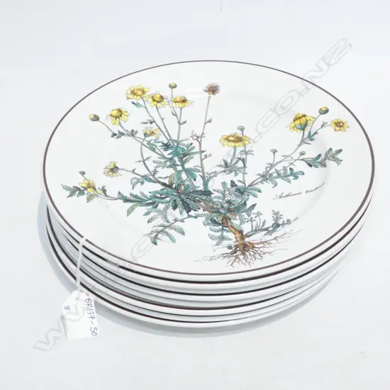 EIGHT VILLEROY & BOCH BOTANICA DINNER PLATES - DIA 265MM