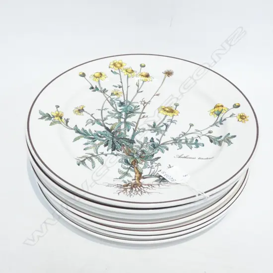 EIGHT VILLEROY & BOCH BOTANICA 8 DINNER PLATES - DIA 265MM