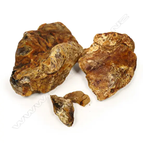 ASSORTED UNPOLISHED KAURI GUM PIECES, LARGEST L.150MMM, WEIGHT 650GM