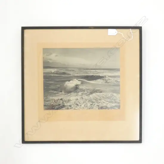 VINTAGE NZ BLACK AND WHITE PHOTO OF THE SURF 440 X 470mm