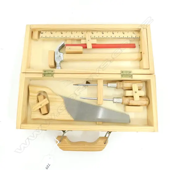 CHILD'S WOODWORKING KIT
